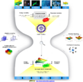 Metamodel-sumo-hourglass.png